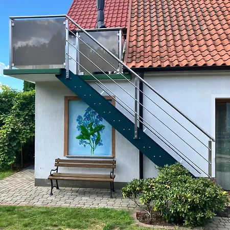 Niezapominajka